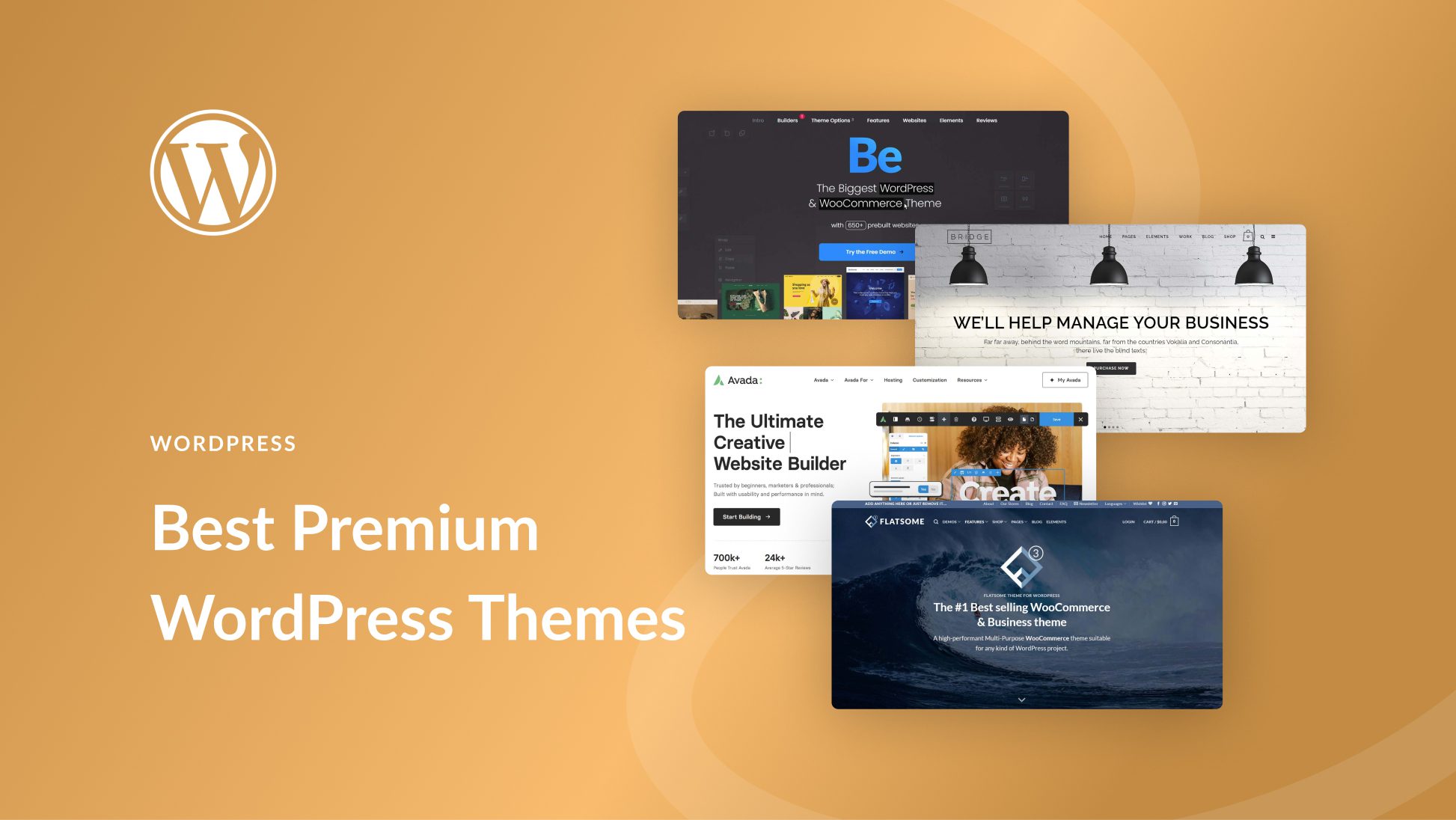 Choosing WordPress Theme 2023