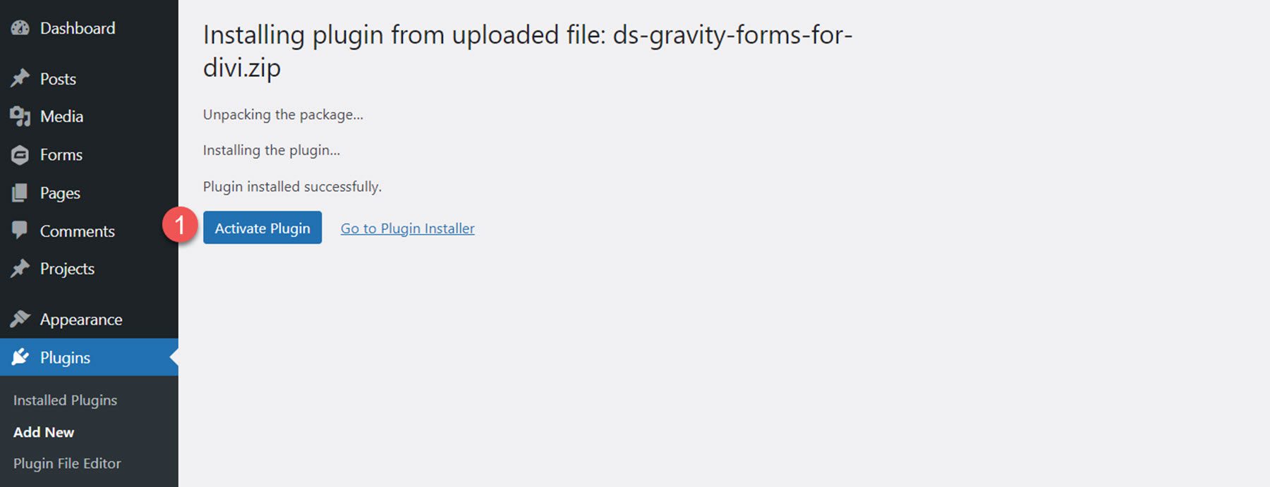 Activate Gravity Forms Styler Module for Divi