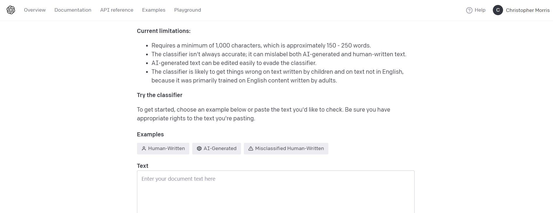 OpenAI Text Classifier - Landingpage May 2023