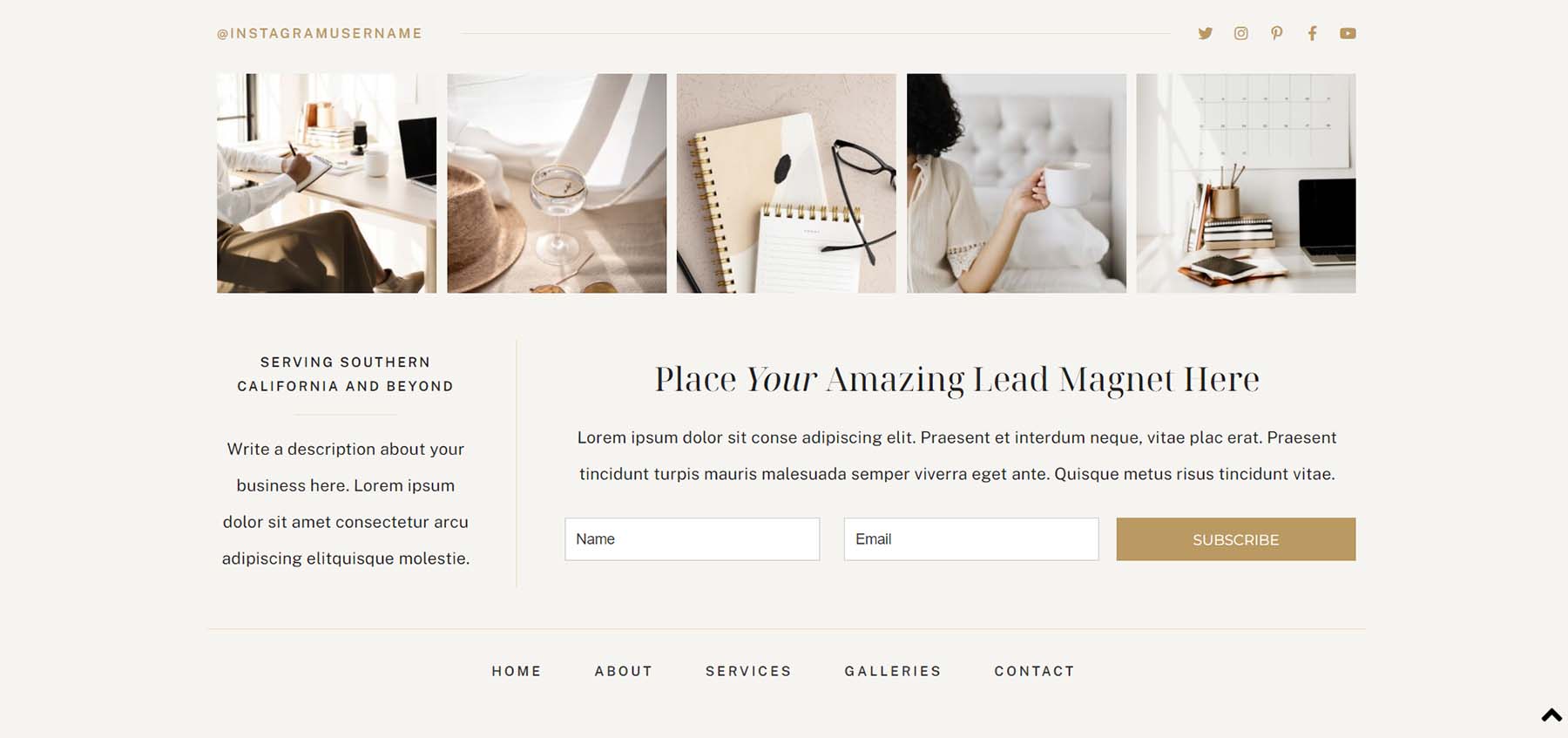 Native Instagram and Newsletter modules in the ChicLuxe theme