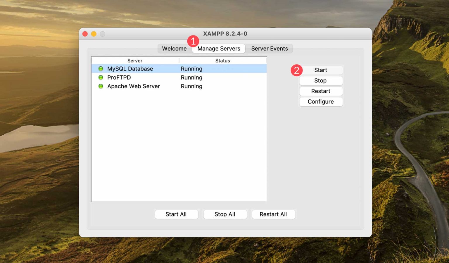 How to Host Your WordPress Website Locally in 2025 (Tutorial)