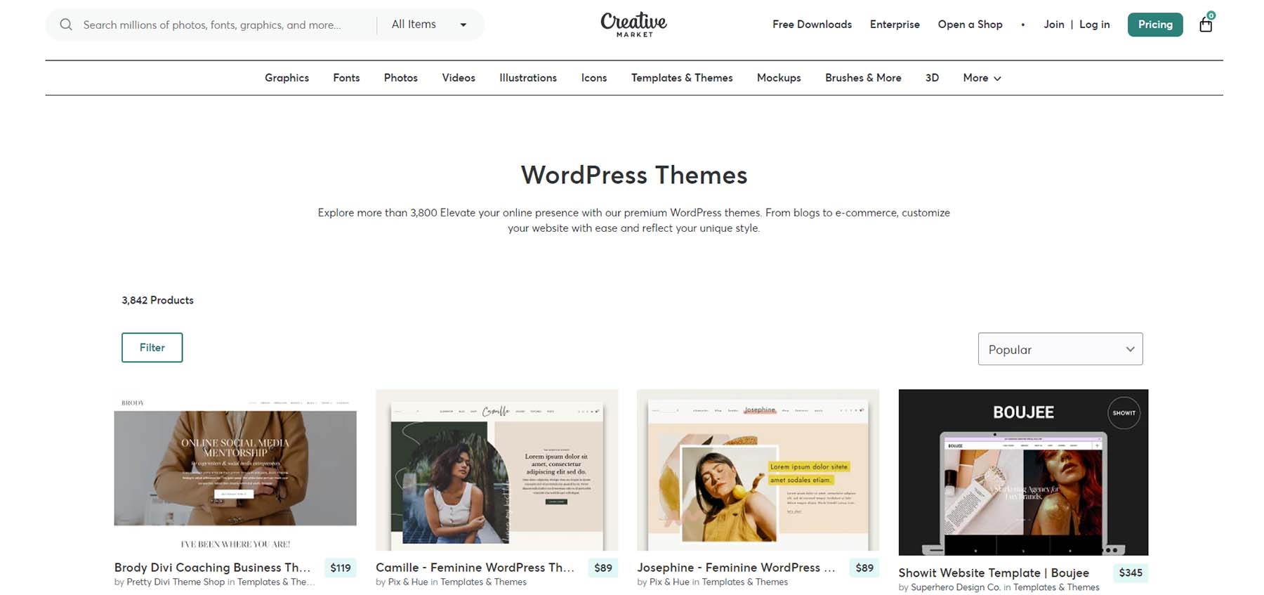 Creative Market WordPress Themes