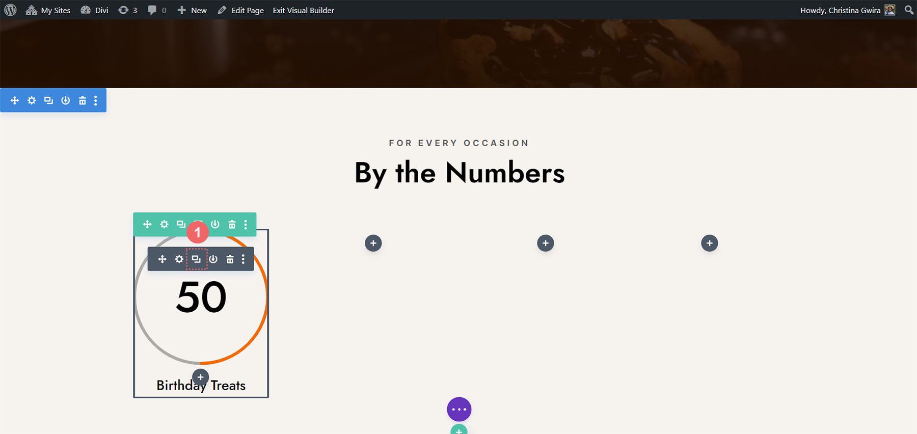 Duplicate our Circle Counter Module