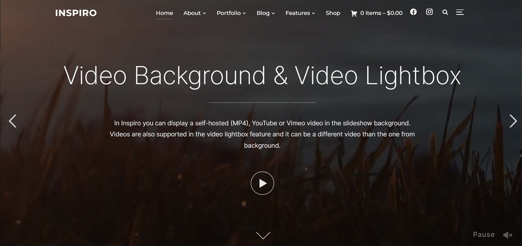 Inspiro Premium, a video and photo focused minimal theme