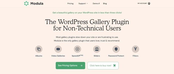 How to Add a Gallery to Your WordPress Website in 2025 (Guide)
