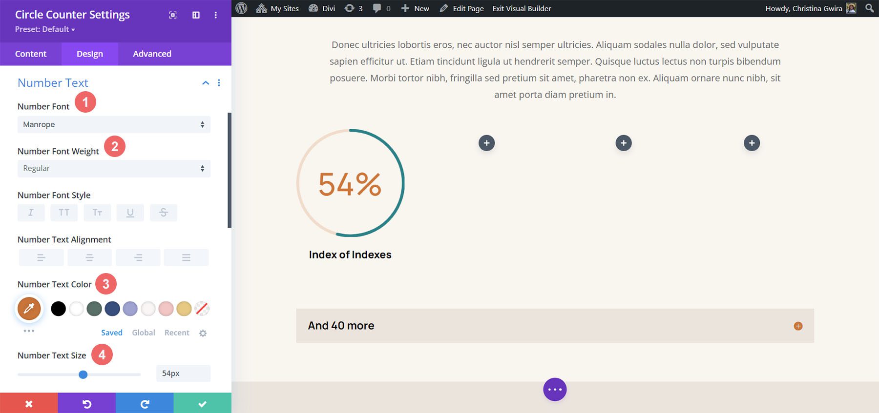 Number font styling for the Circle Counter Module Divi Hostel