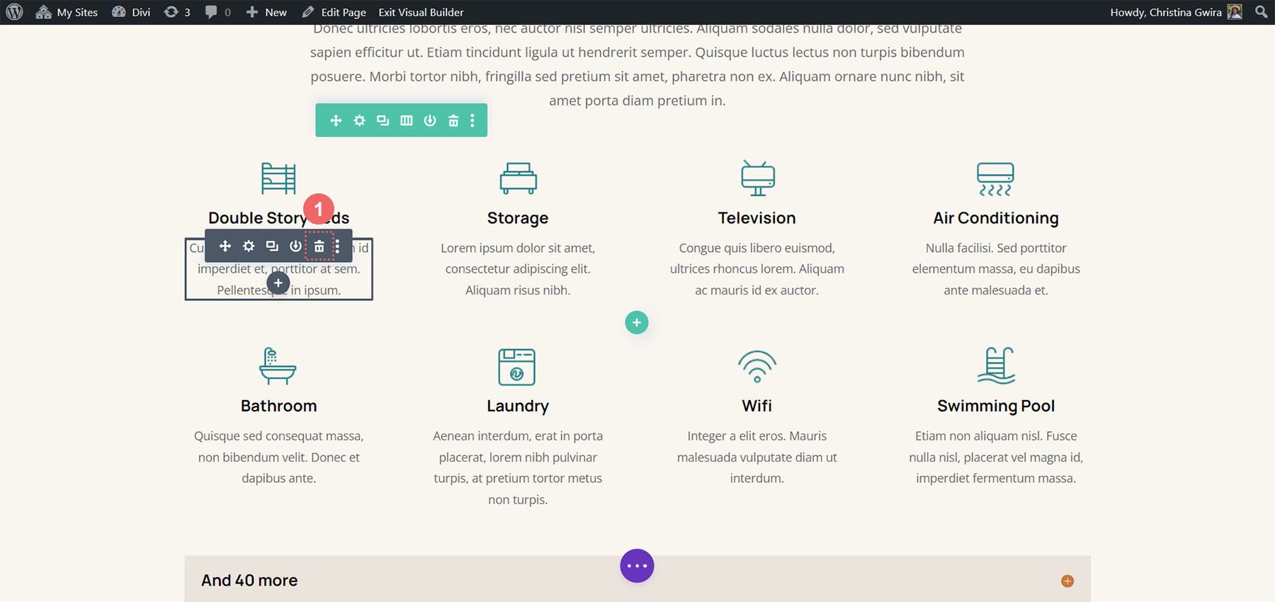 Remove old modules from the Divi Hostel page template