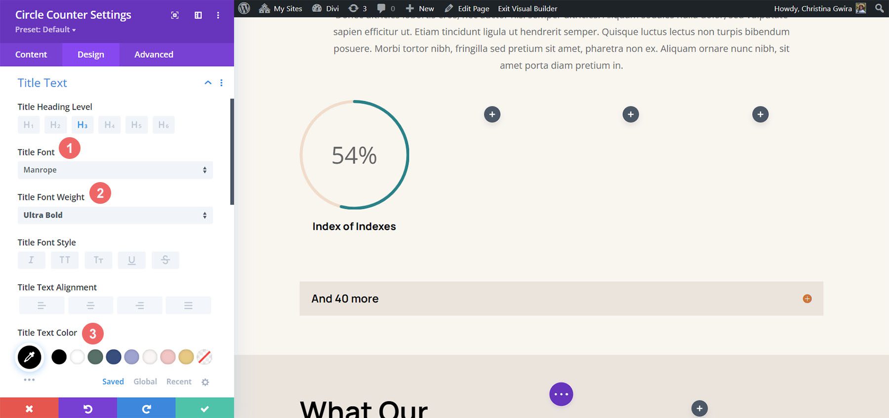 The Title Text settings for the Circle Counter Module ft. the Divi Hostel Layout Pack