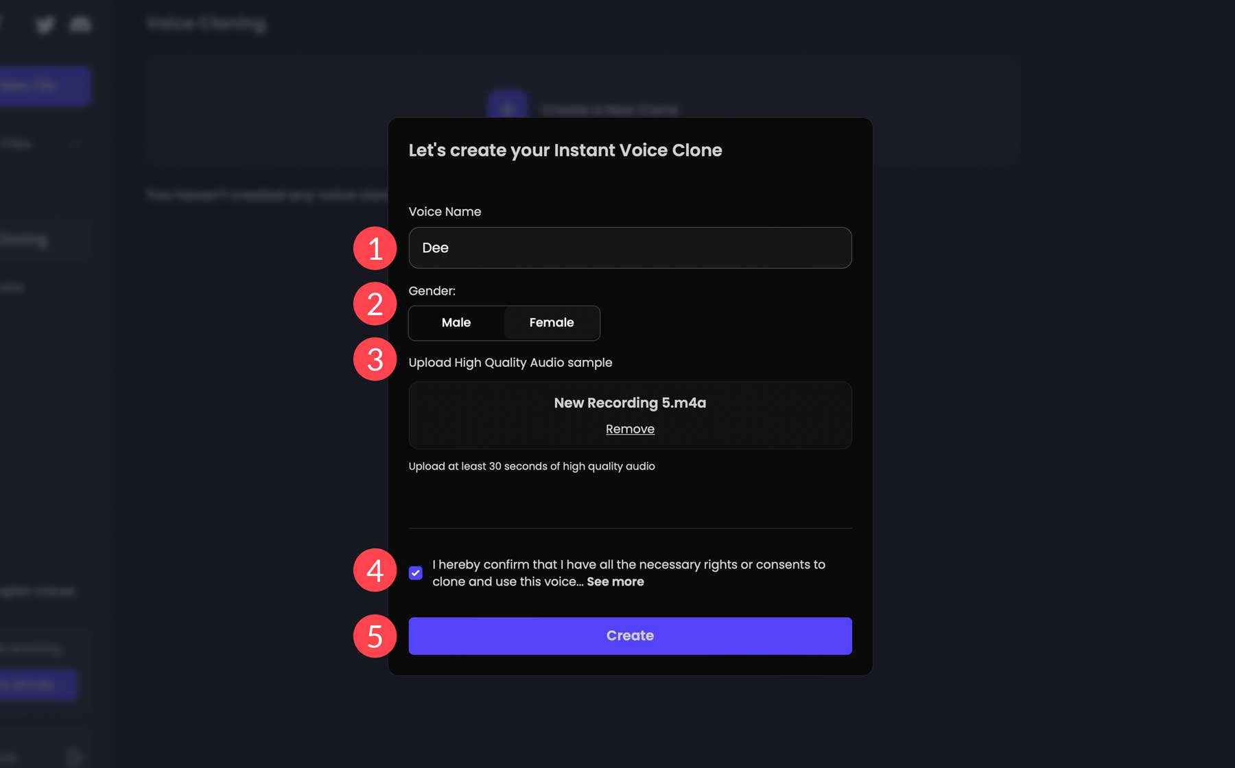 AI voice clone settings