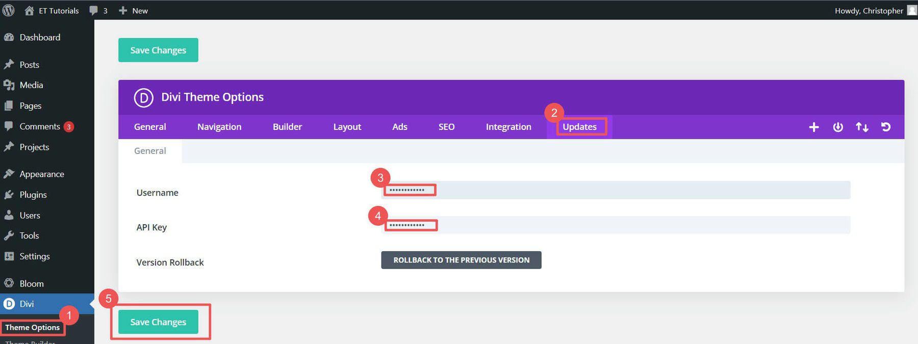 How to Install Divi - Steps 14-18