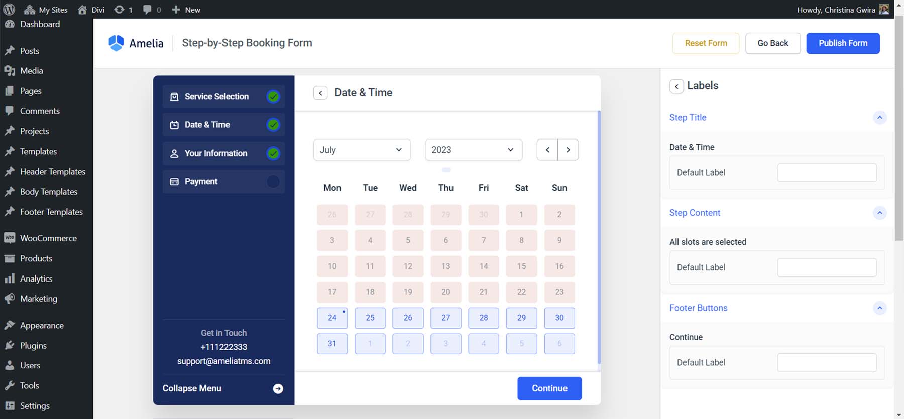 Date, Time and Calendar Customization for Amelia