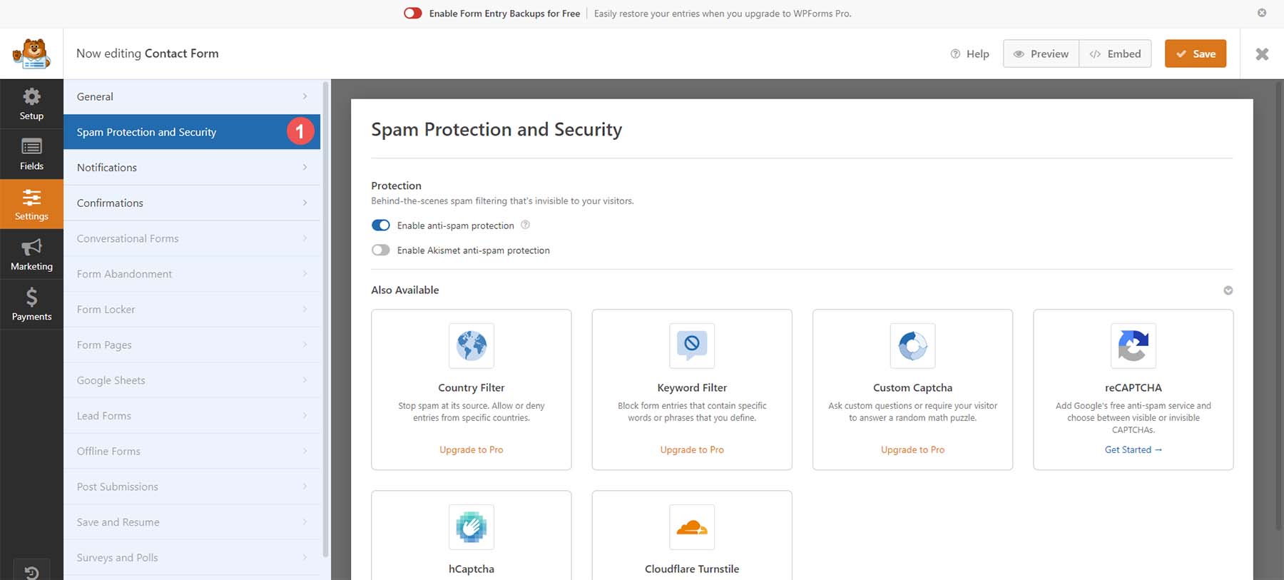 Spam and protection options with WPForms