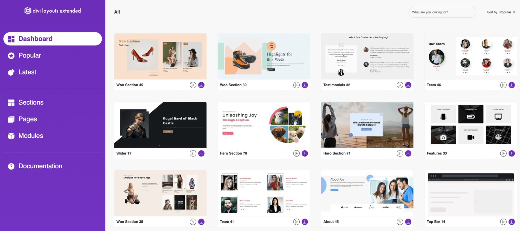 Divi Product Highlight: Divi Layouts Extended 1
