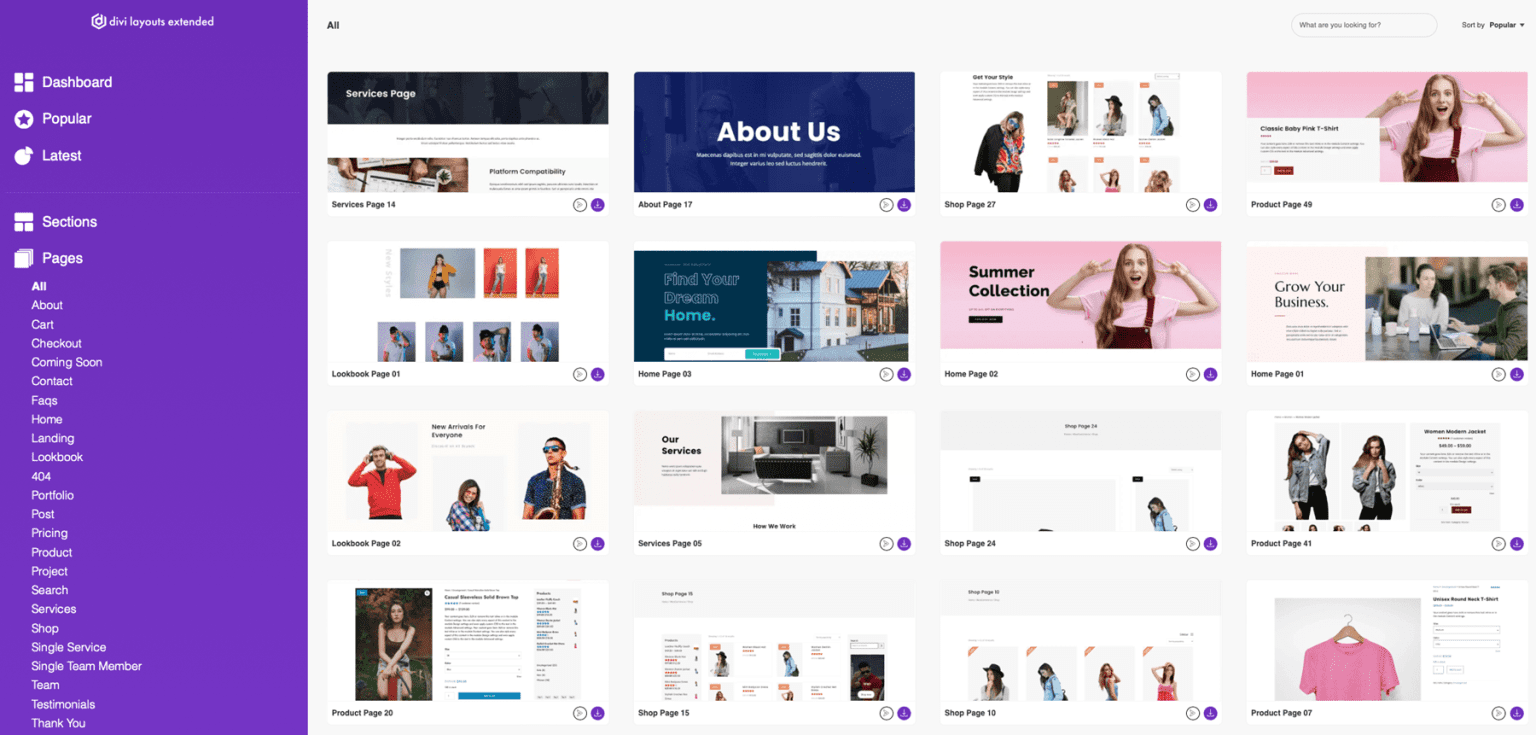 Divi Product Highlight: Divi Layouts Extended