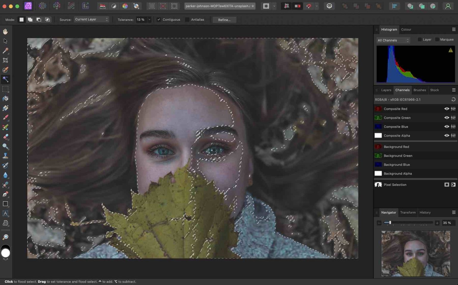 12 Best Graphic Design Software in 2024