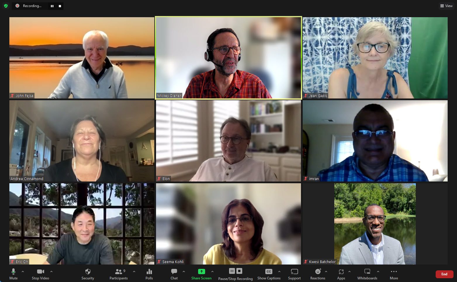 screenshot of attendees at Divi NYC virtual meetup