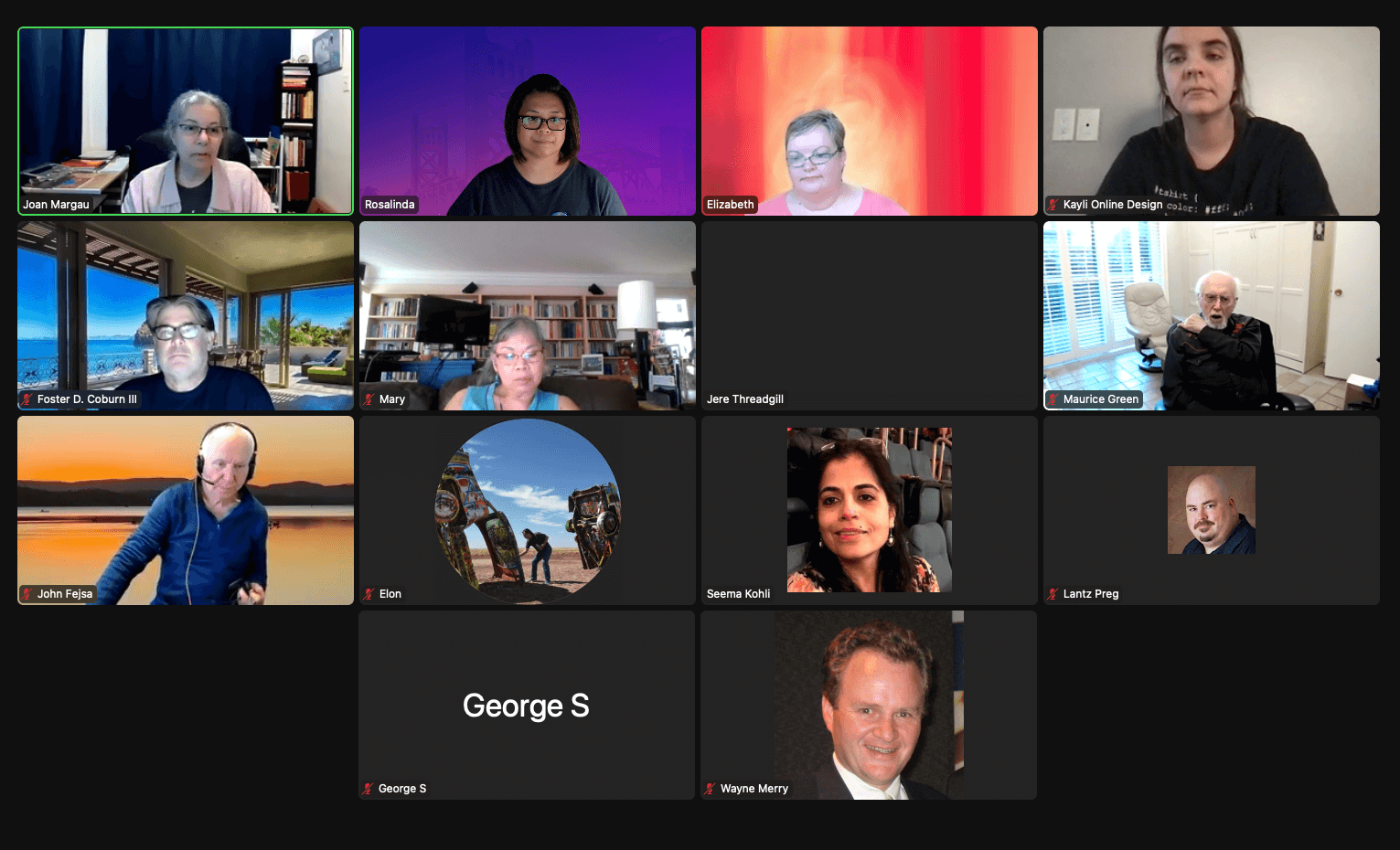 screenshot of attendees at Divi Sacramento virtual meetup