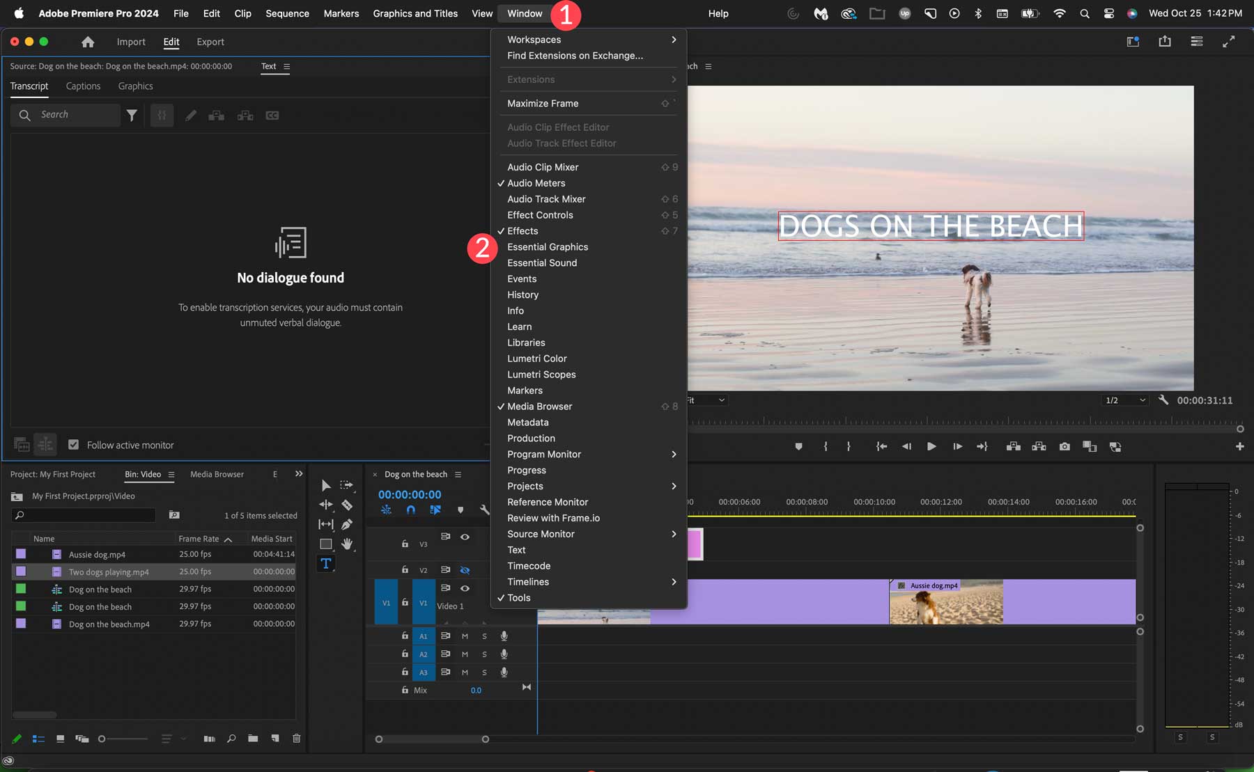 Adobe Premiere Pro graphics panel