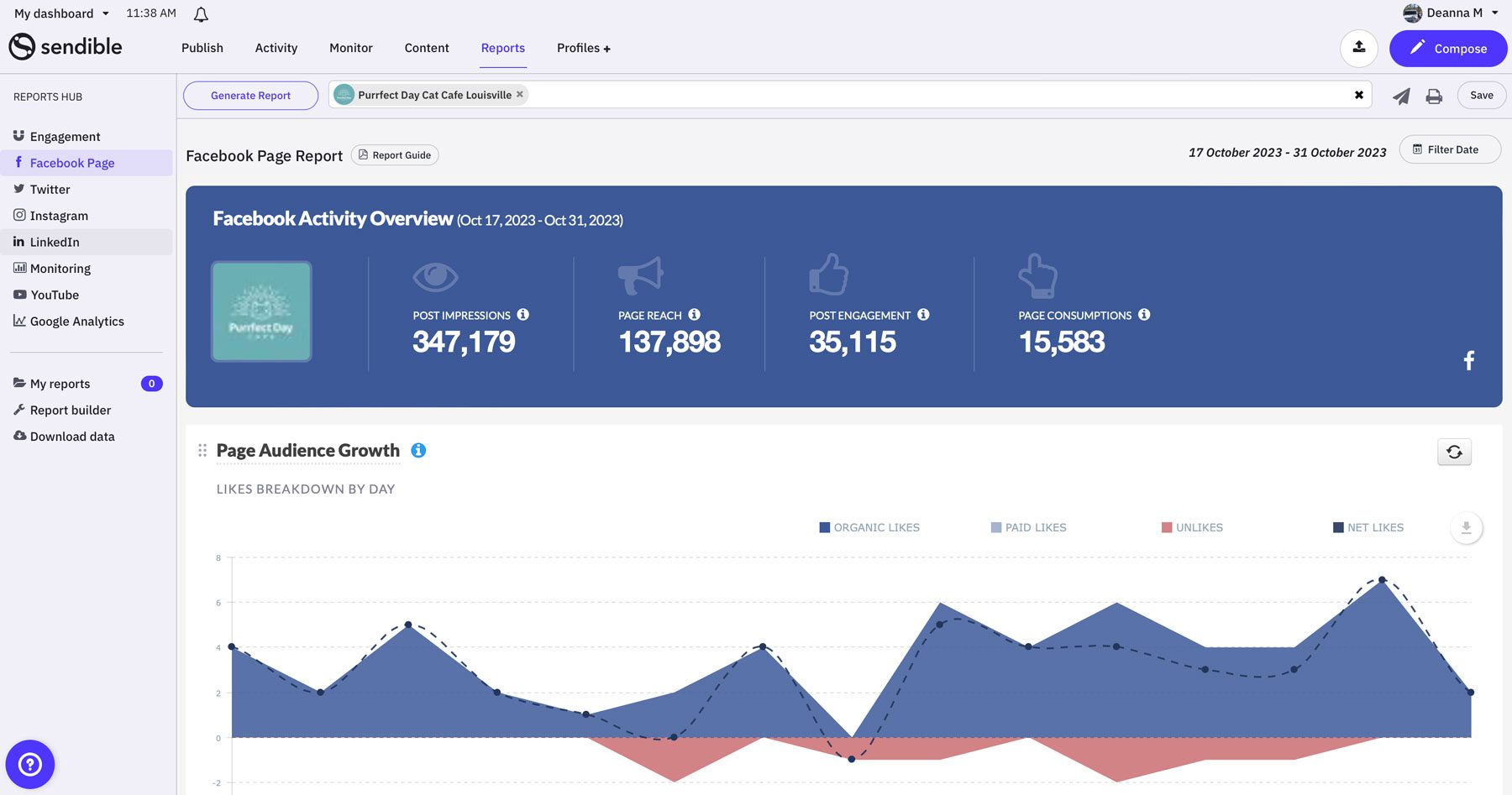 Facebook page report