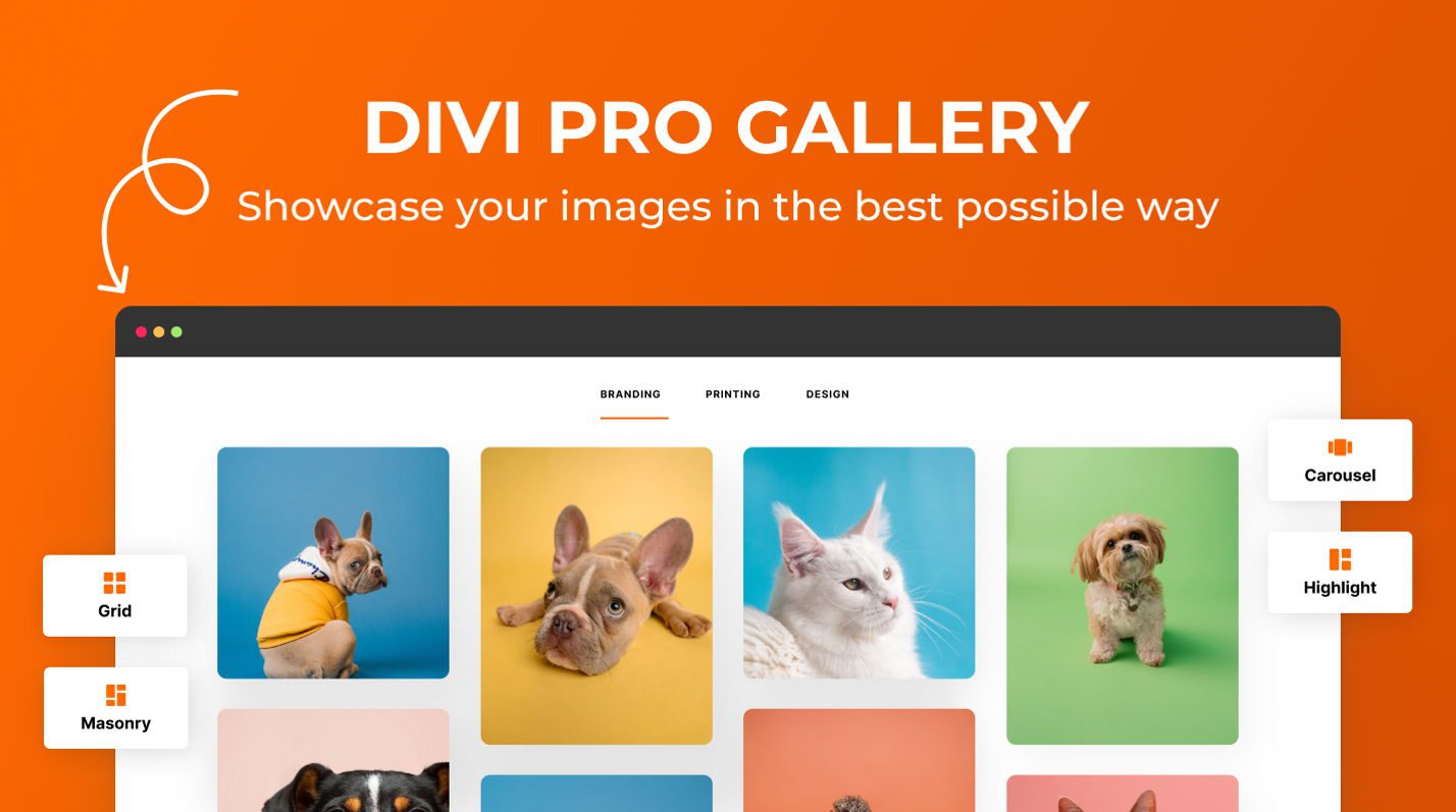 Best Divi Gallery Plugins - Divi Pro Gallery section featured image