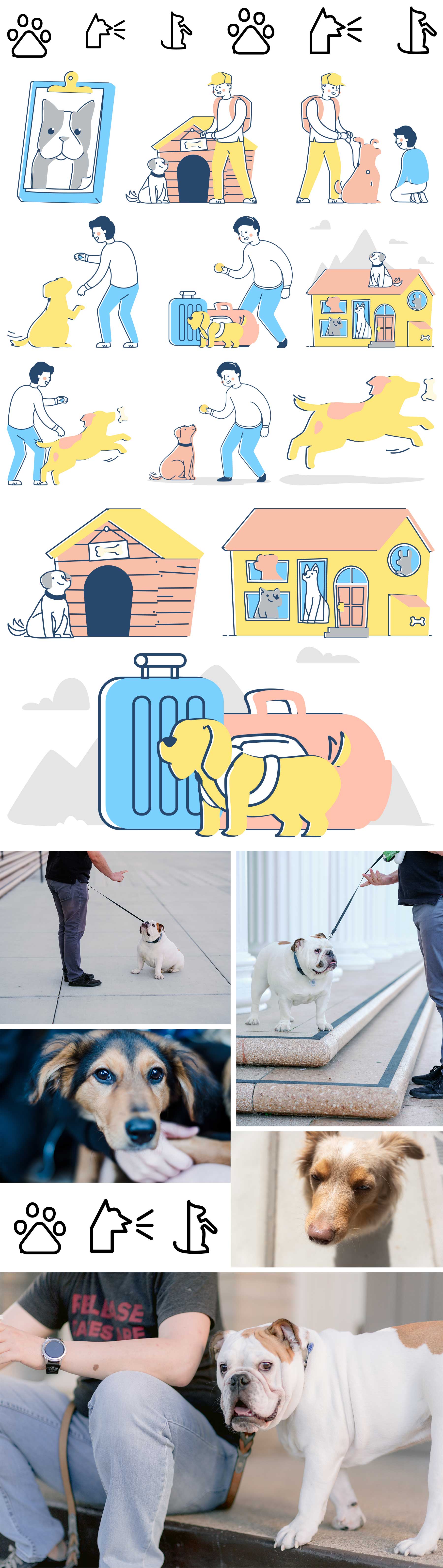 Pet Trainer Layout Pack for Divi