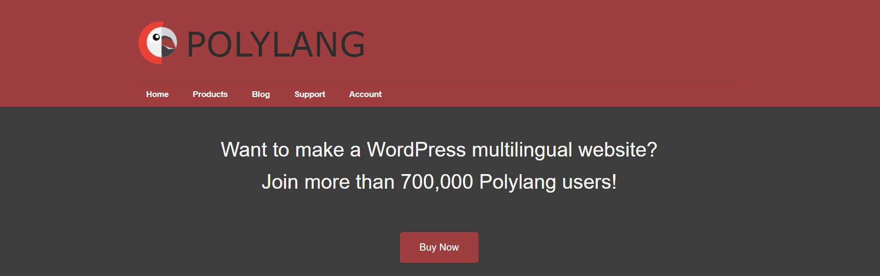 Polylang Homepage - January 2024