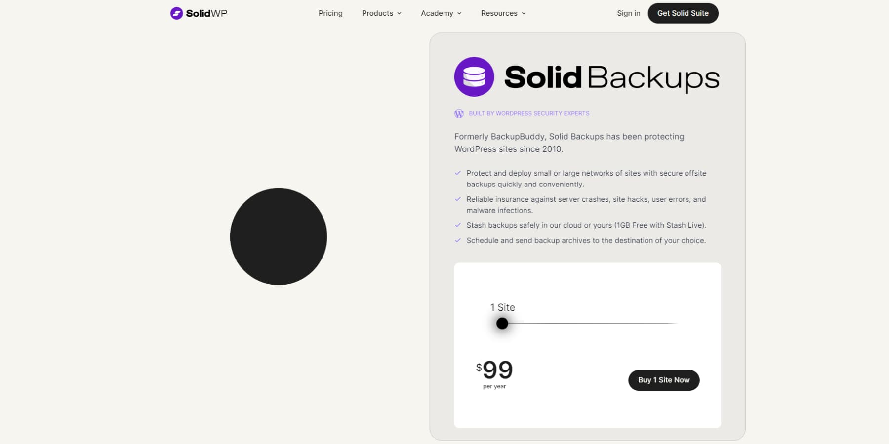 A screenshot of Solid Backups' Home Page