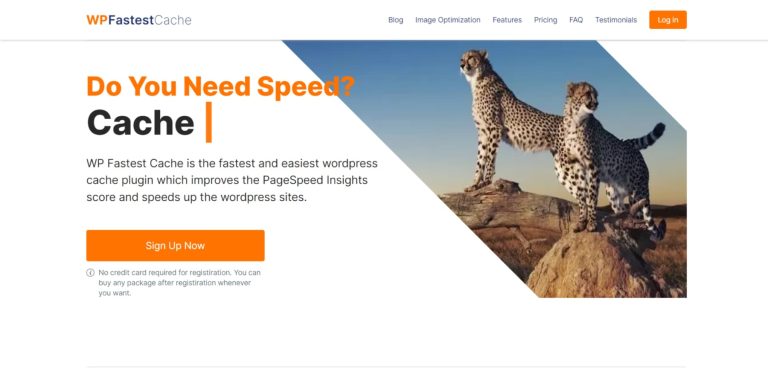 13 Best WordPress Speed Optimization Plugins in 2025 (Ranked)