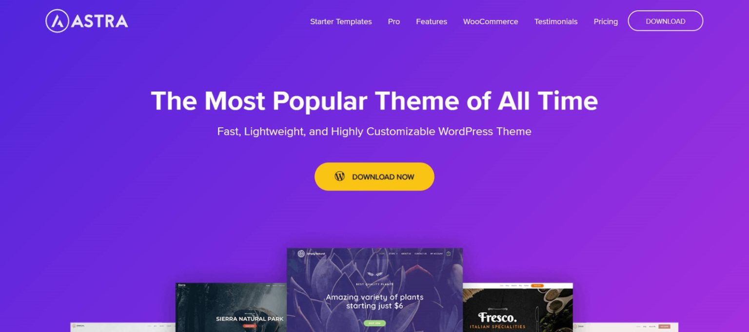 11 Top Free WordPress Themes in 2025 (Compared)