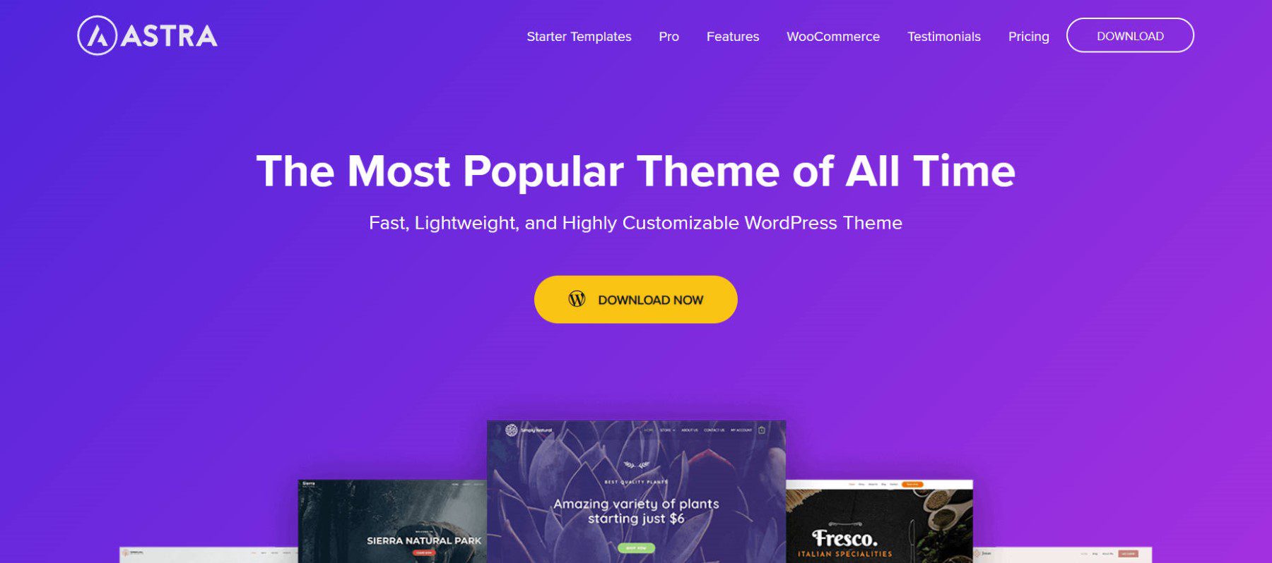 Astra Theme - Homepage - January 2024 - Best Free WordPress Theme