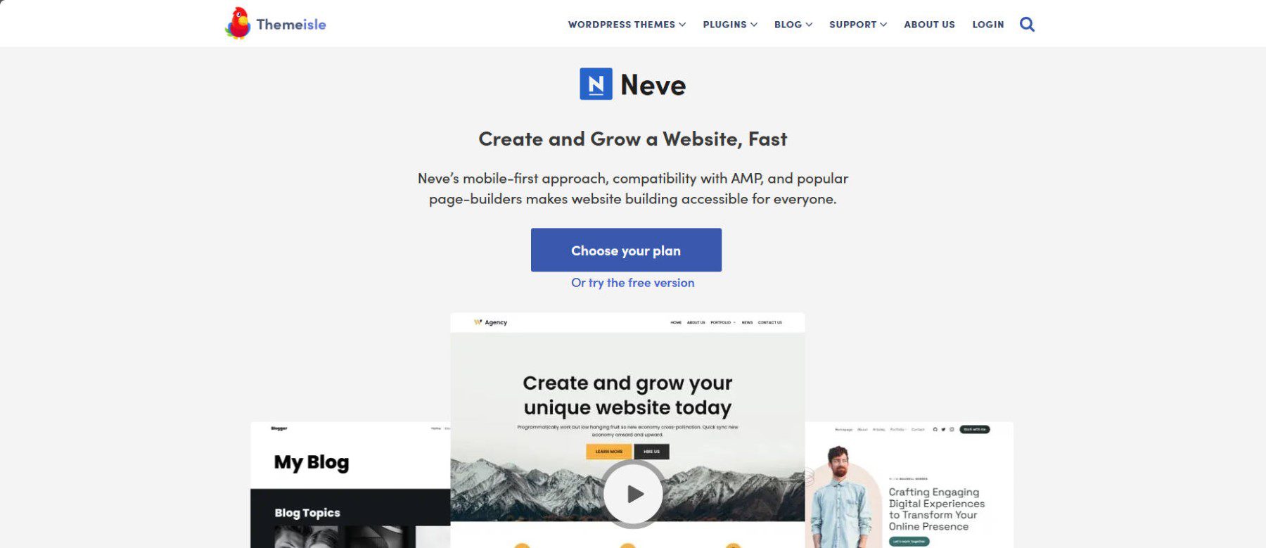 Neve Theme - Landing Page - January 2024