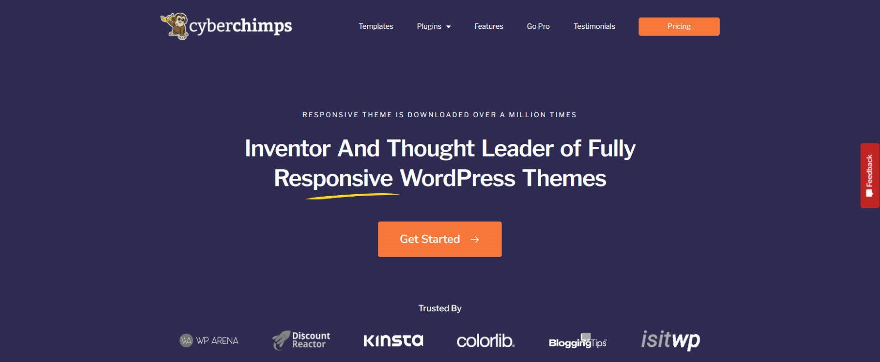 Responsive Theme - Homepage - January 2024