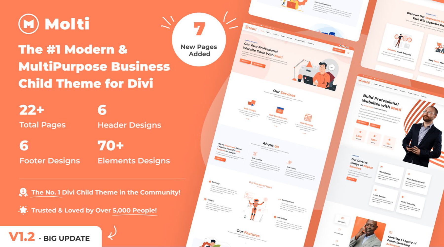 Divi Product Highlight: Molti Child Theme