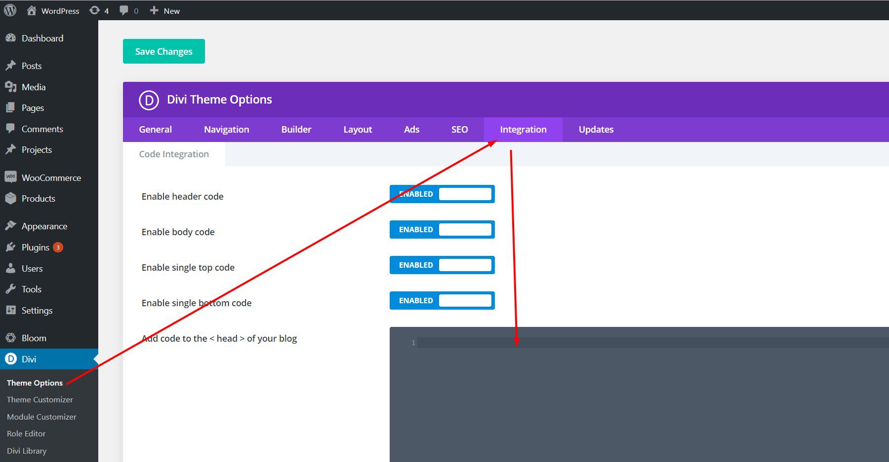 Divi Theme Options - Integrations Tab