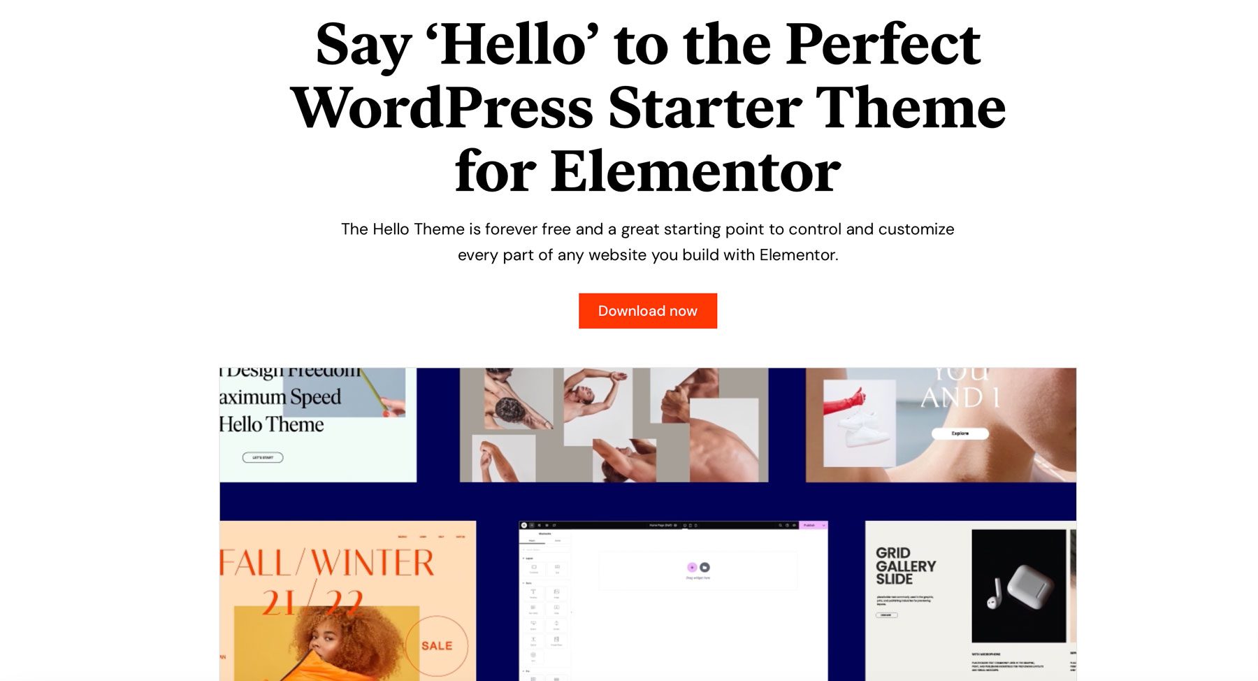 Hello Elementor best wordpress themes for beginners
