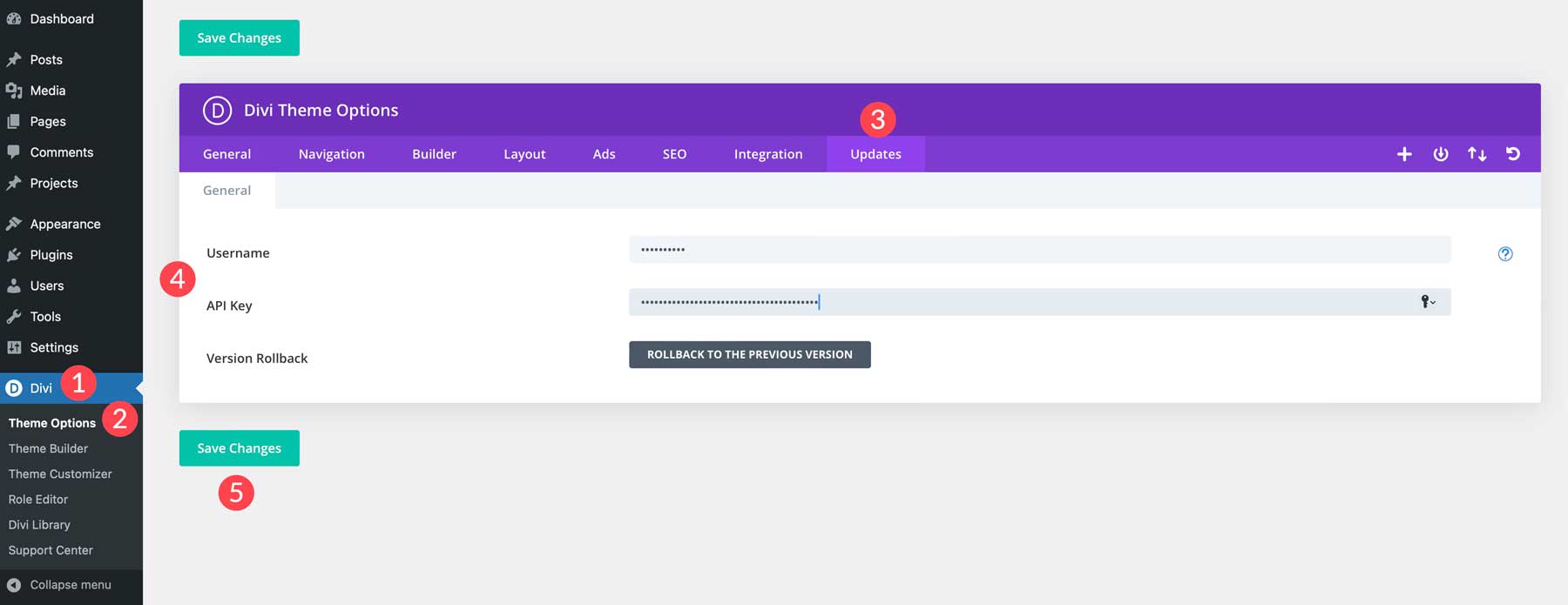 Install Divi API Key