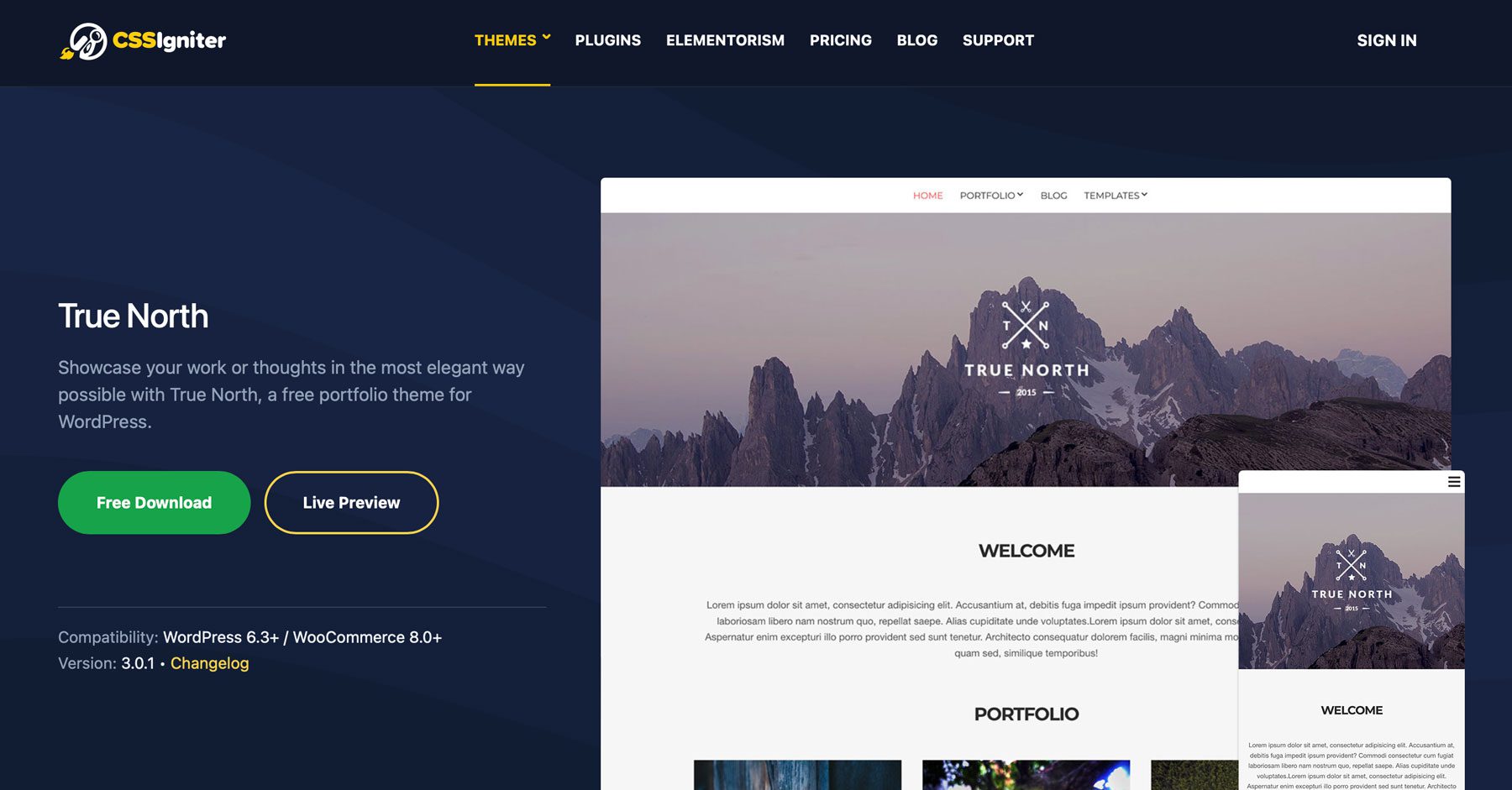 True North best wordpress themes for beginners