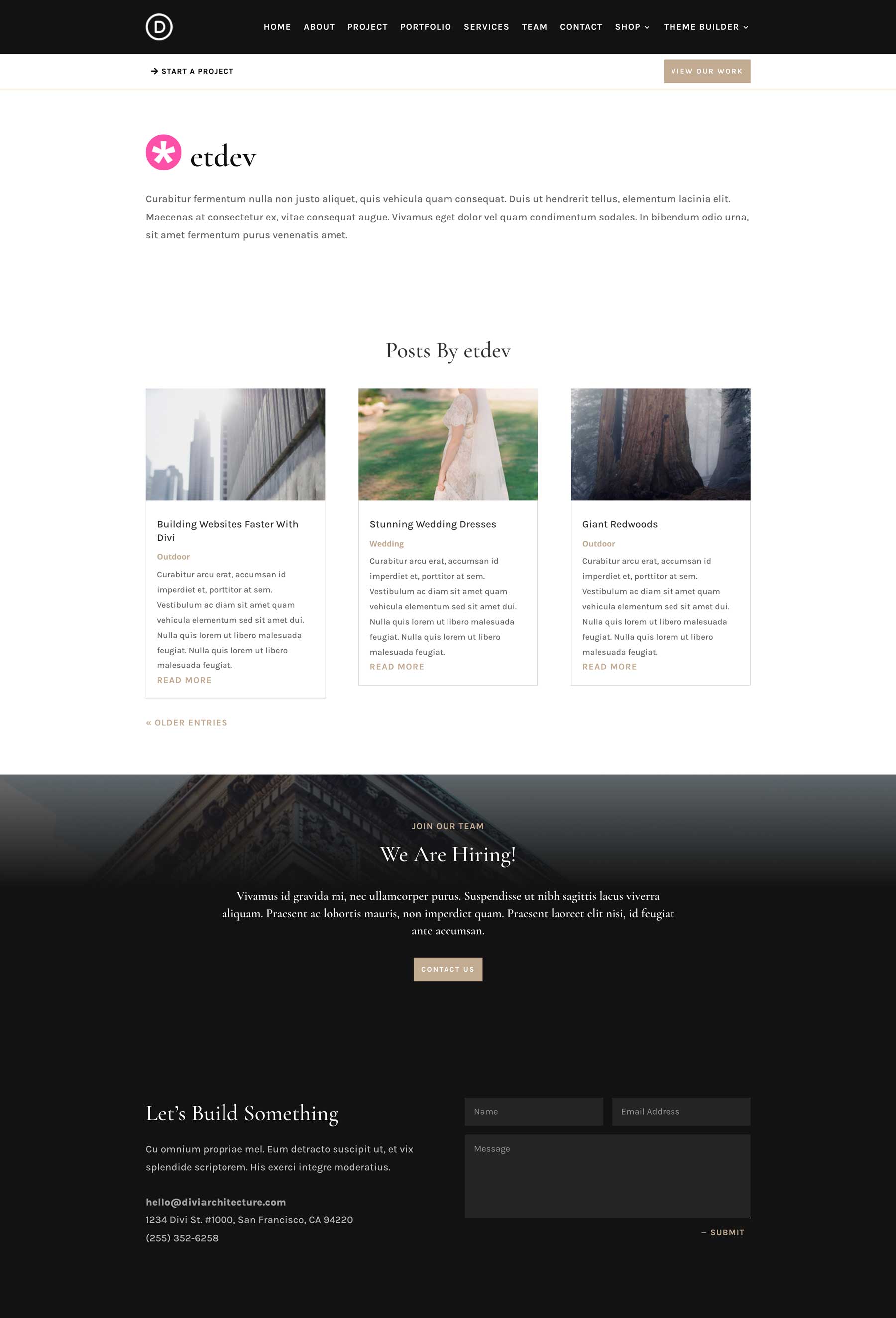 Architecture Firm theme builder pack