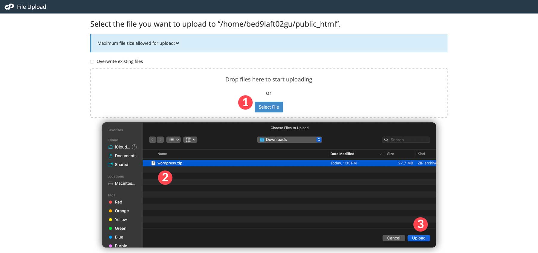 upload WordPress