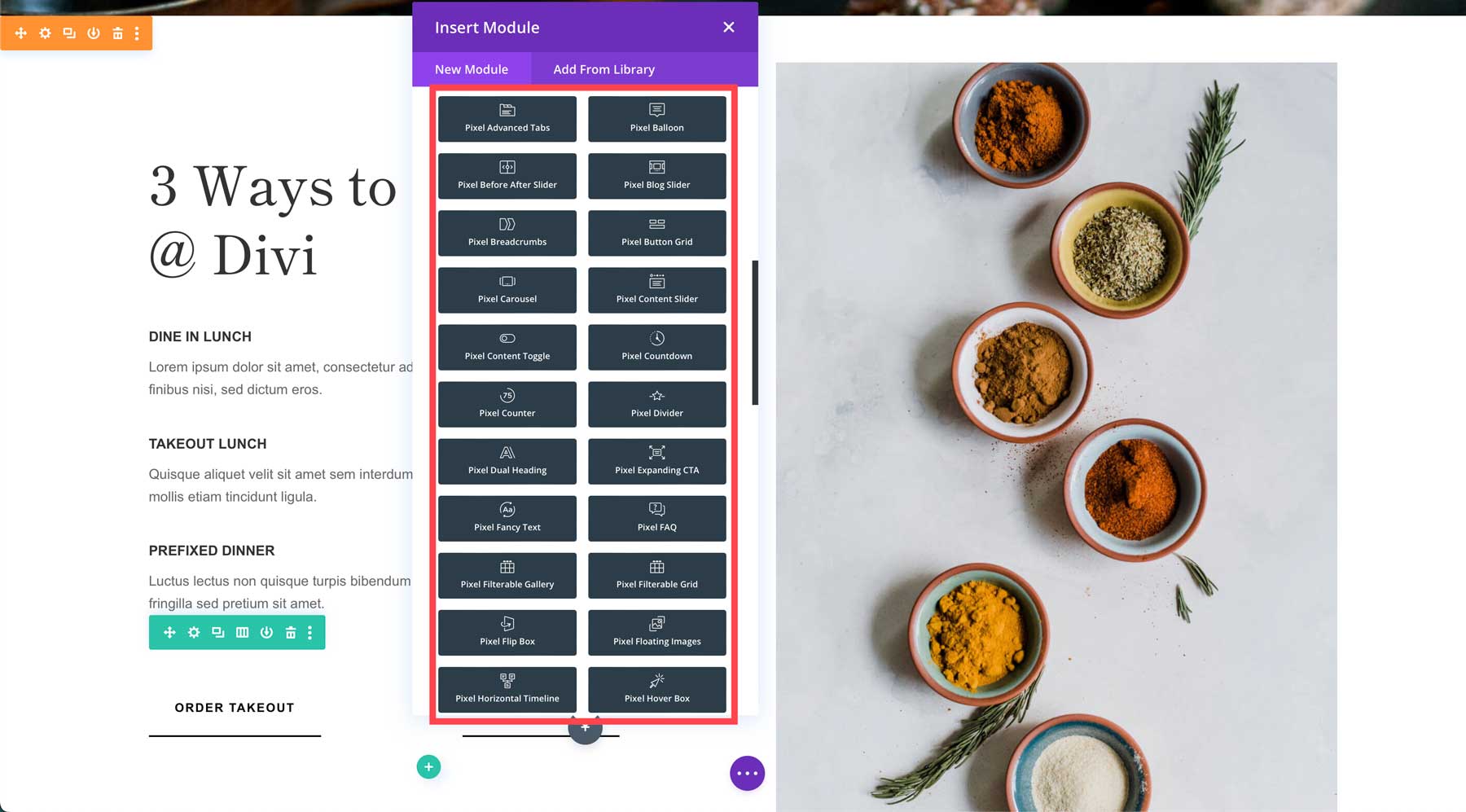 Divi Pixel Modules
