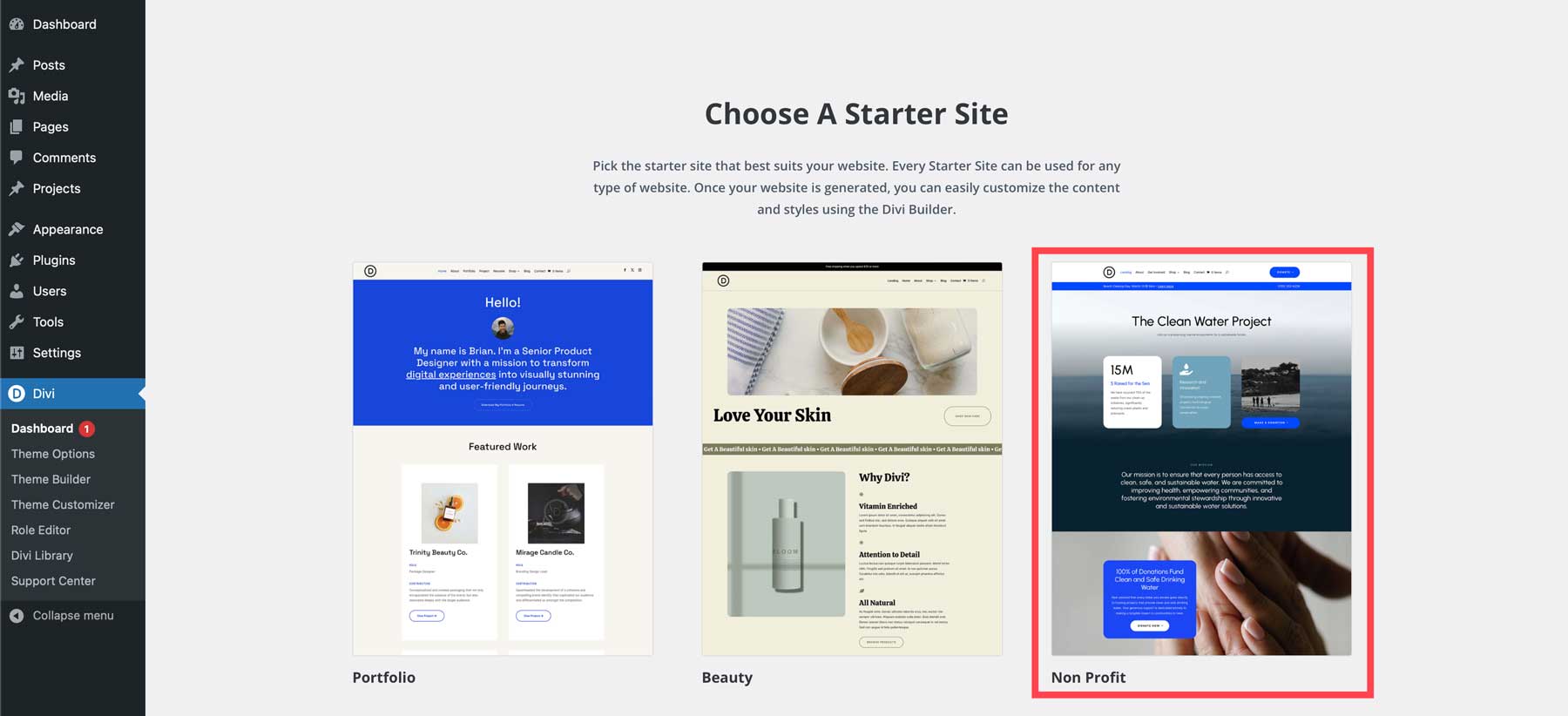 Non Profit Starter Site For Divi