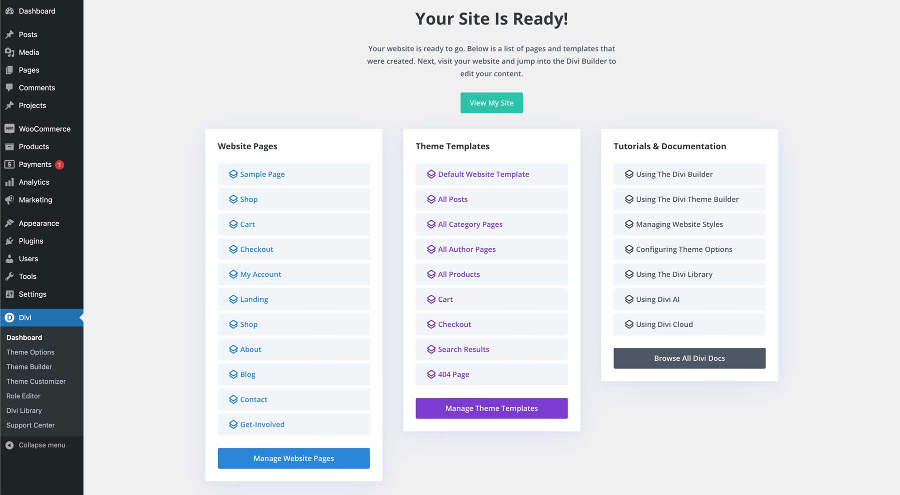 Divi Starter Site Information