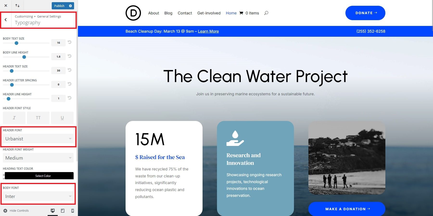 Divi Theme Customizer