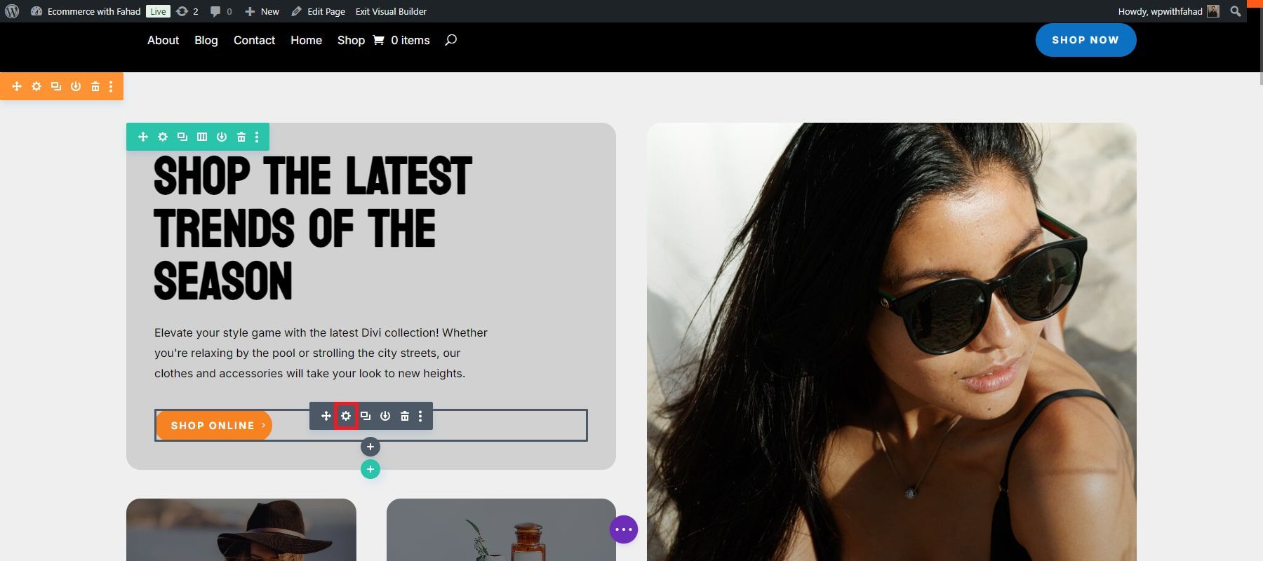Divi Ecommerce Button Settings