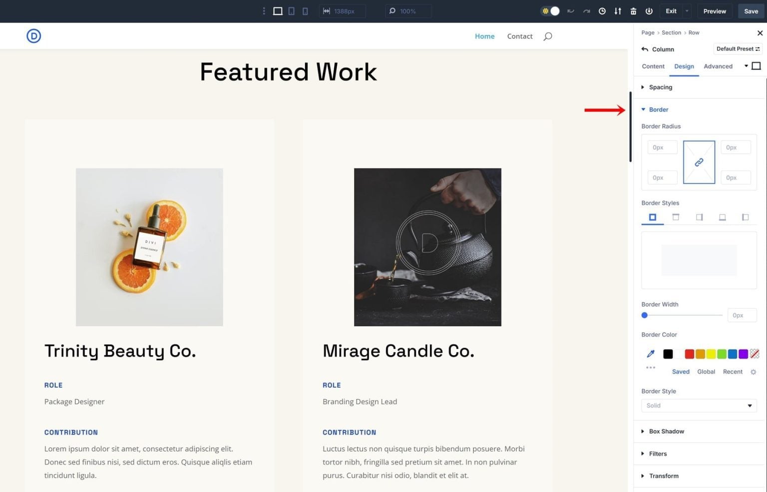 Everything You Need To Know About Divi 5's Option Group Presets