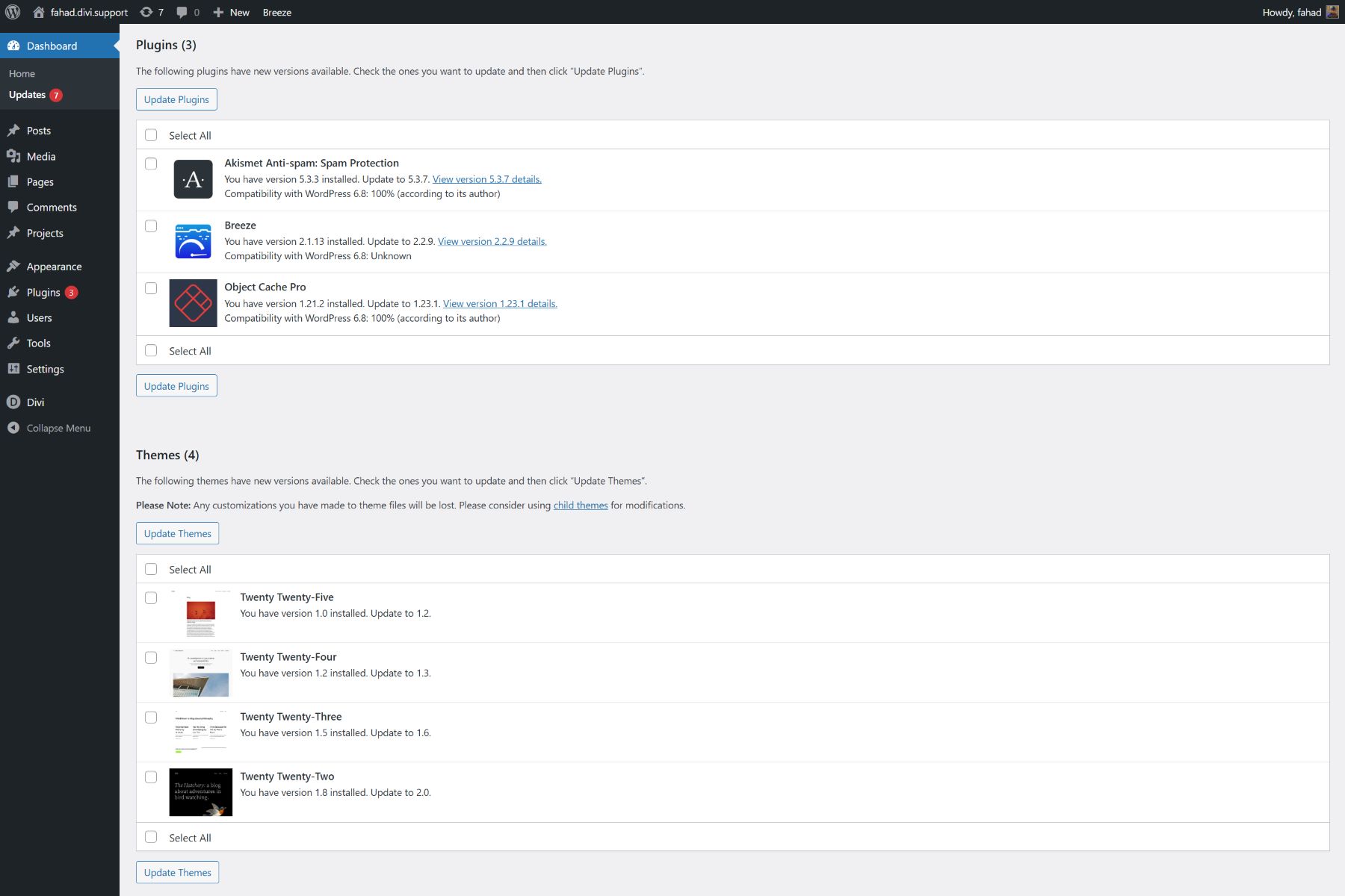wordpress updates