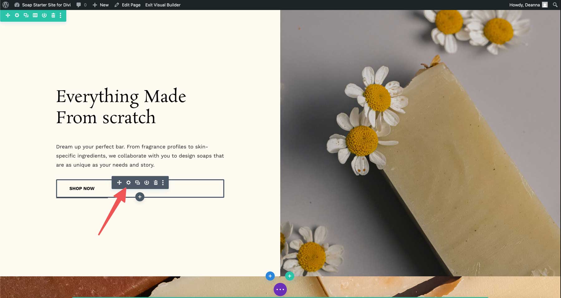 Soap starter site for Divi