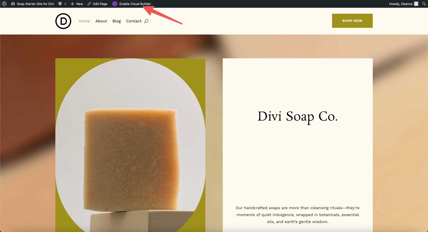 Soap starter site for Divi