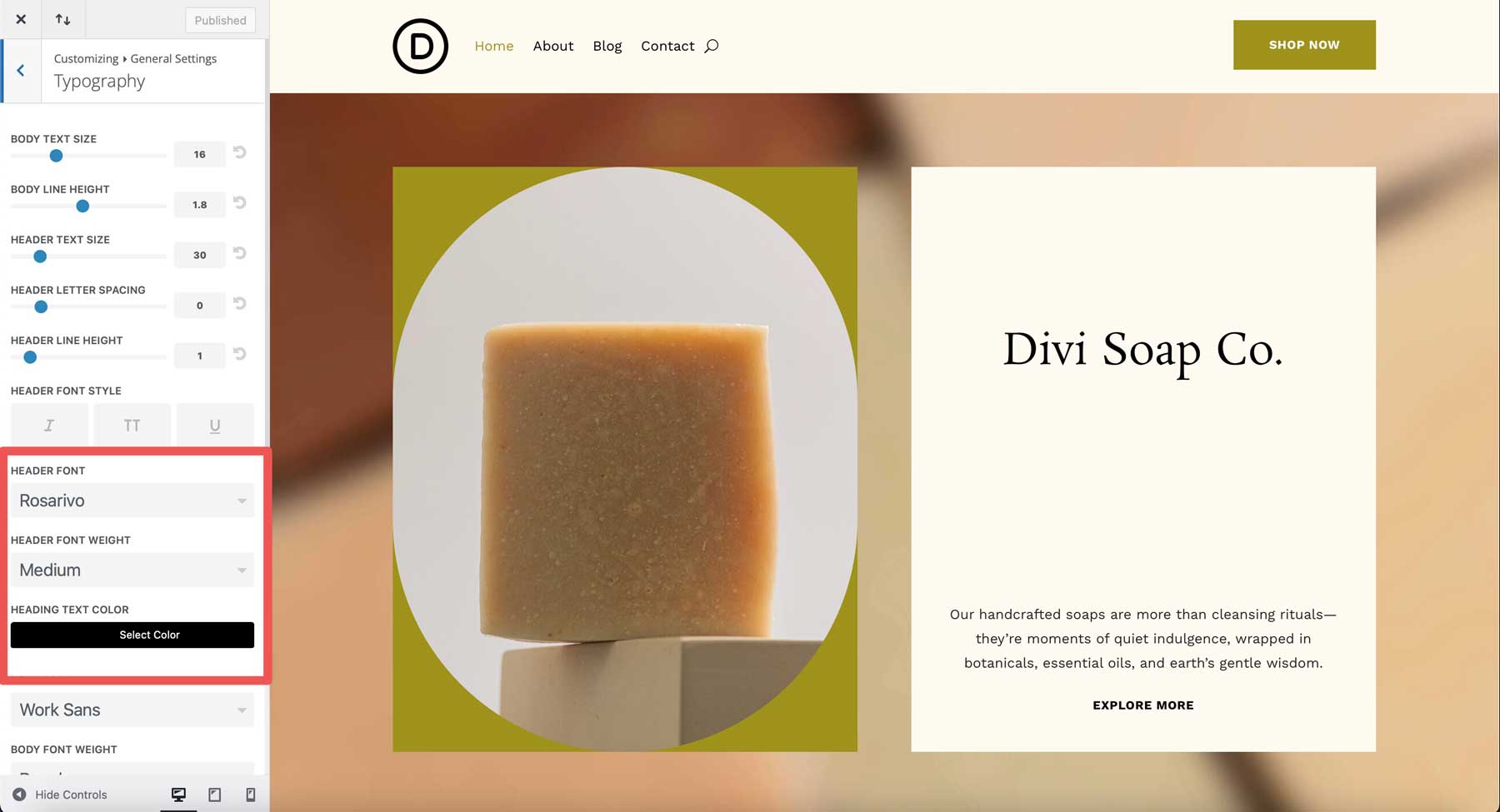 Soap starter site for Divi