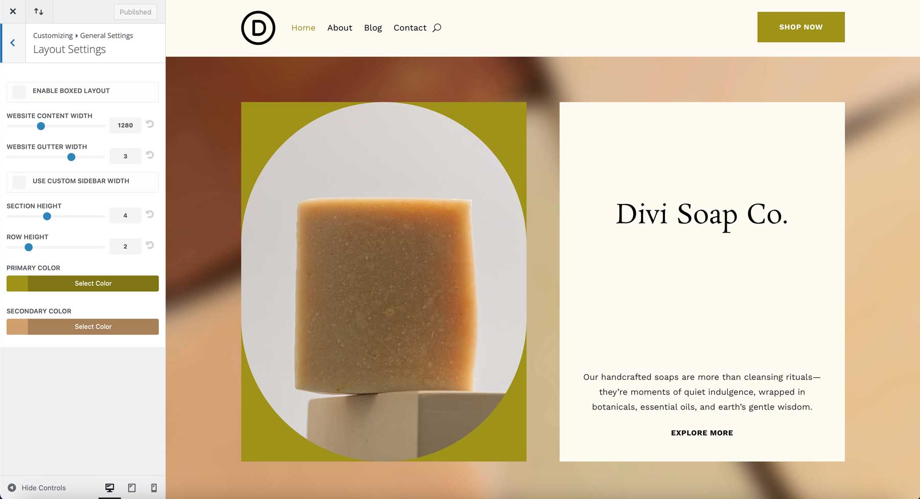 Soap starter site for Divi